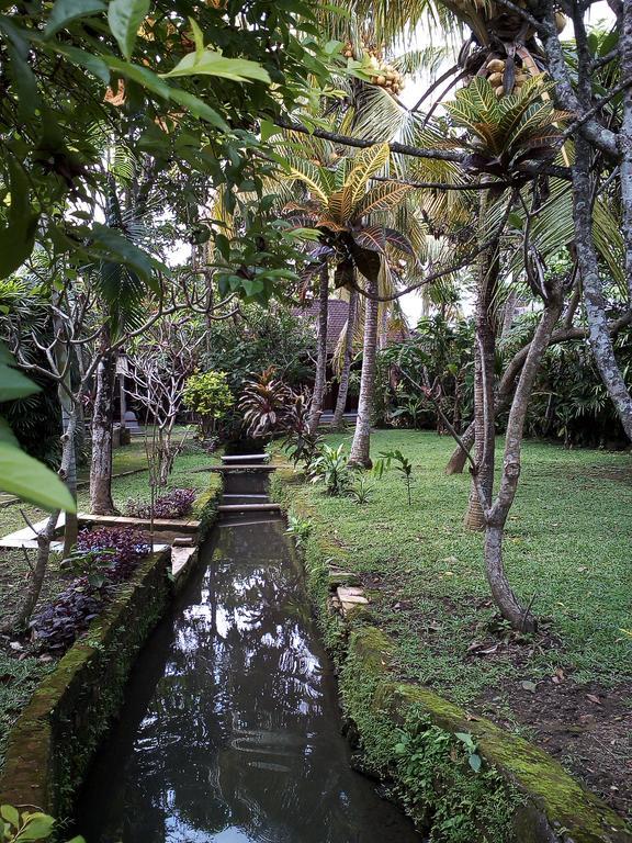 Madra Homestay Ubud Exteriér fotografie