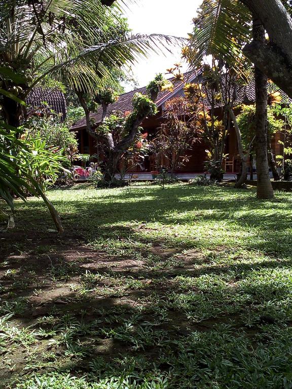 Madra Homestay Ubud Exteriér fotografie