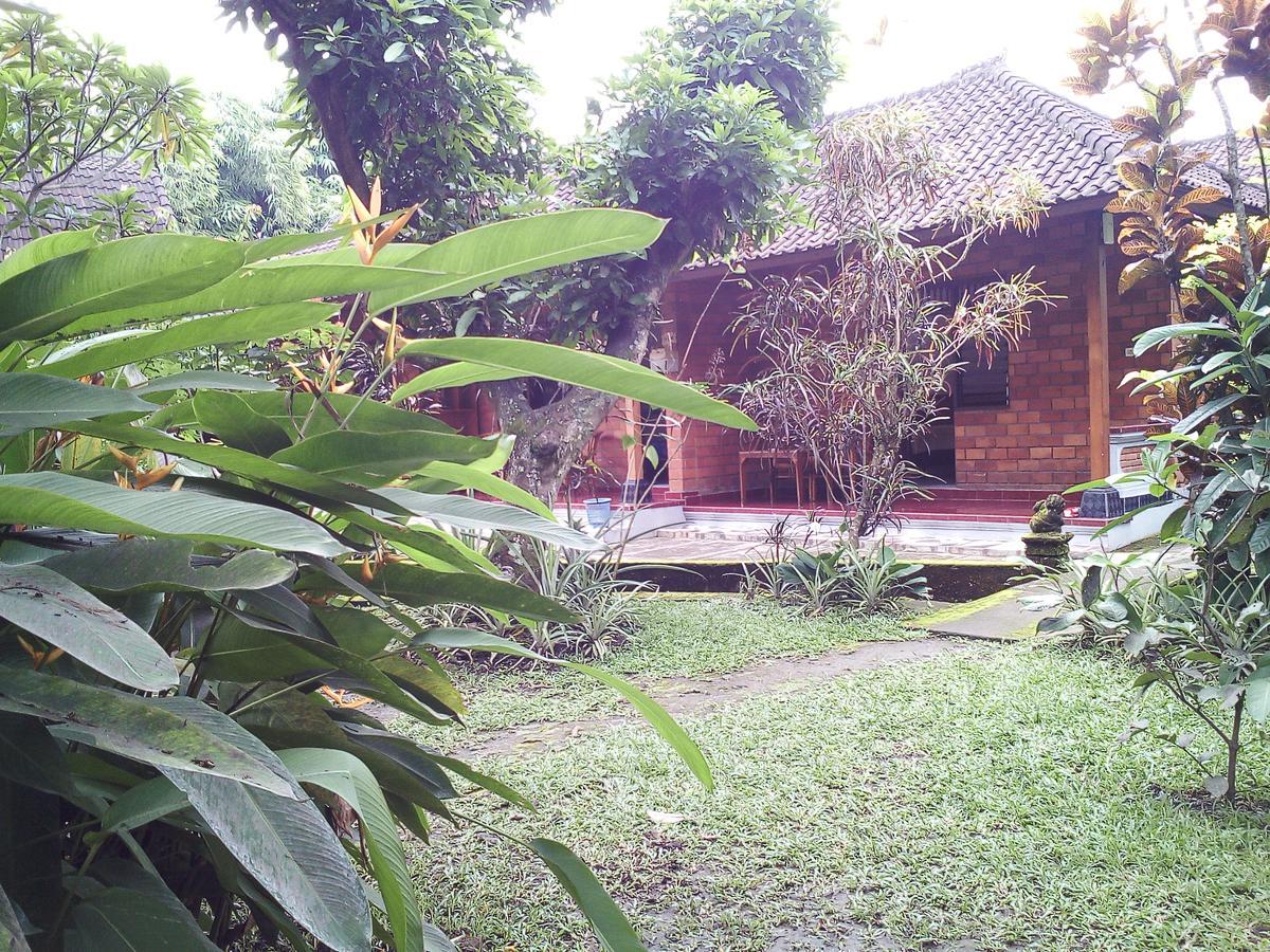 Madra Homestay Ubud Exteriér fotografie