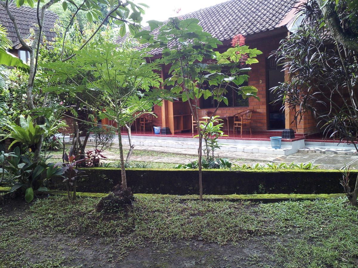 Madra Homestay Ubud Exteriér fotografie