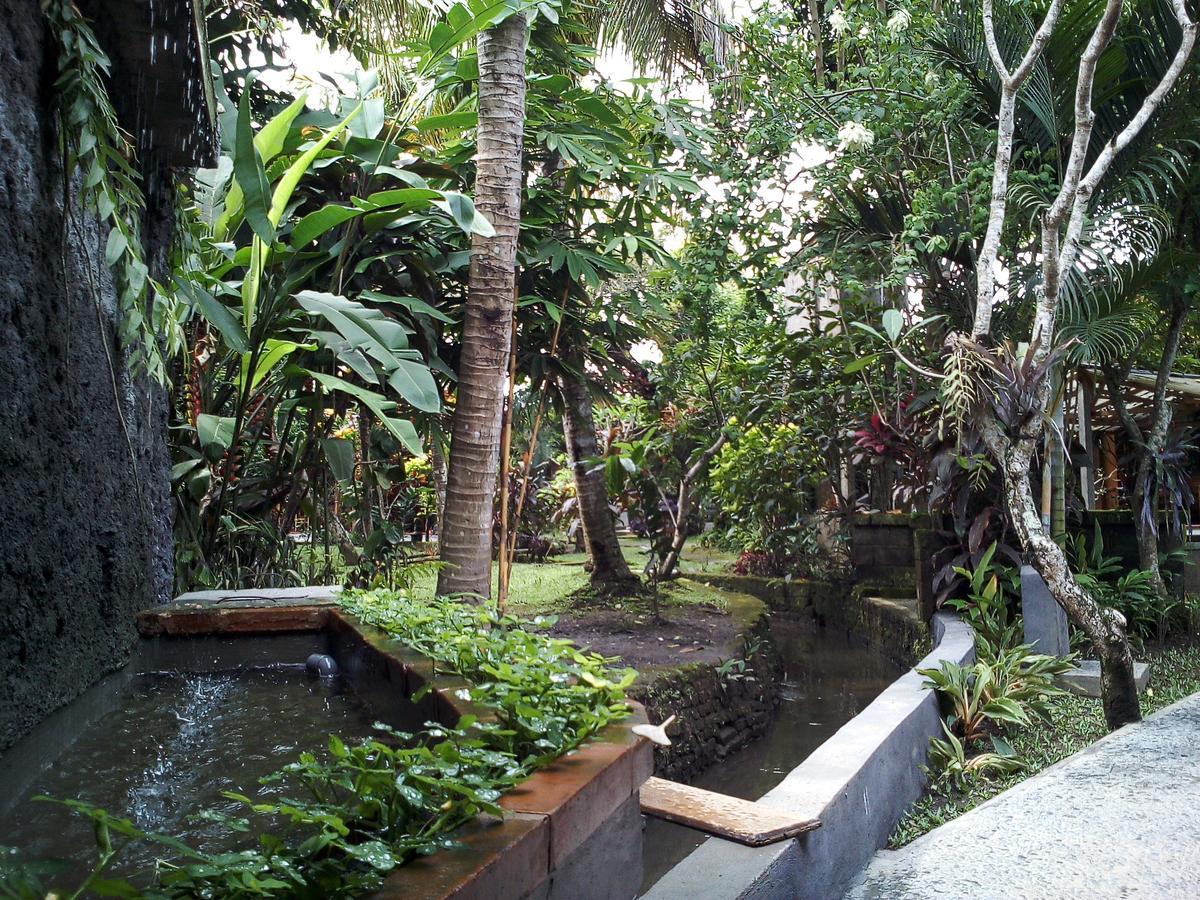 Madra Homestay Ubud Exteriér fotografie